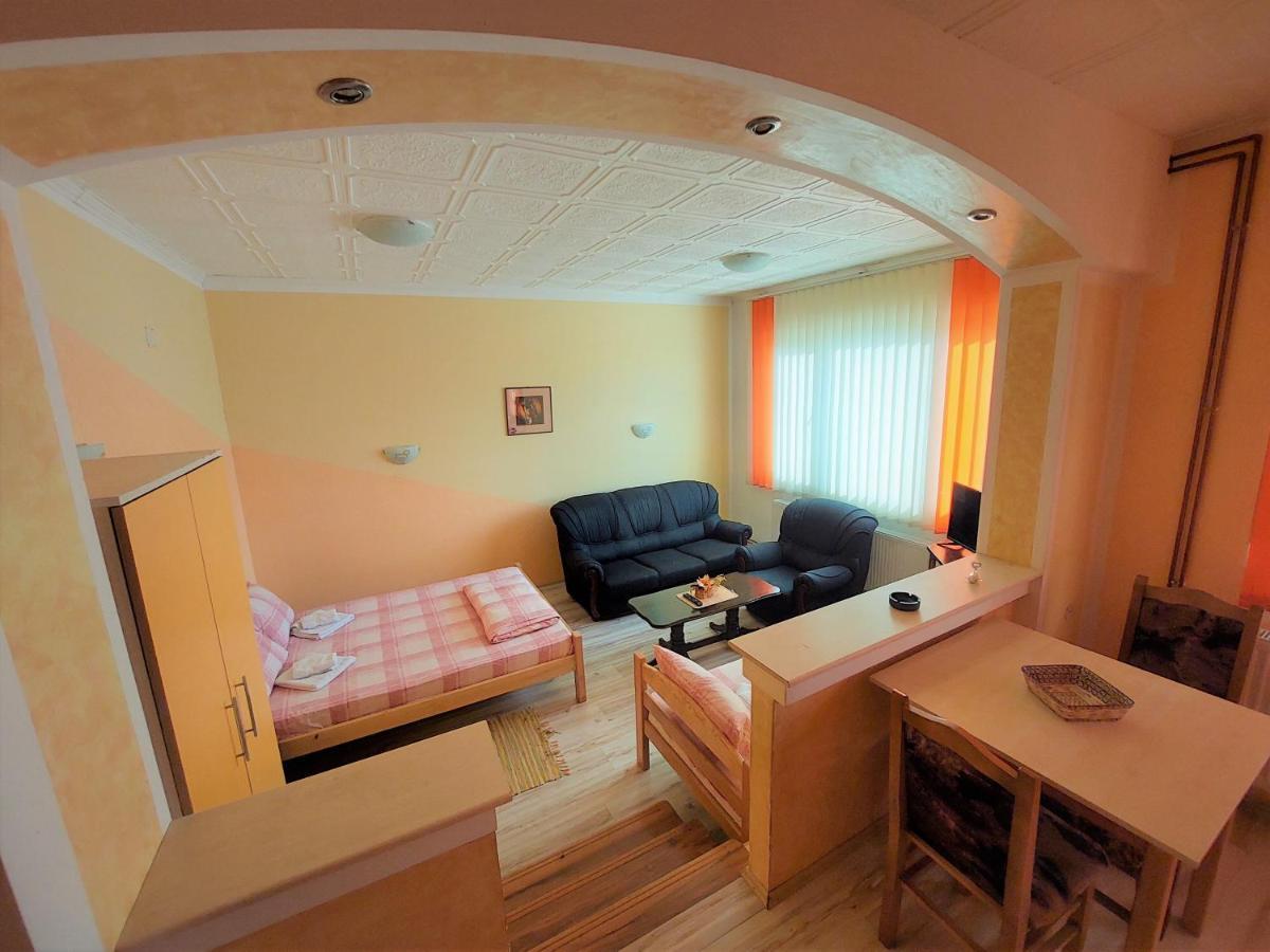 Apartments Nikolic Сокобаня Экстерьер фото
